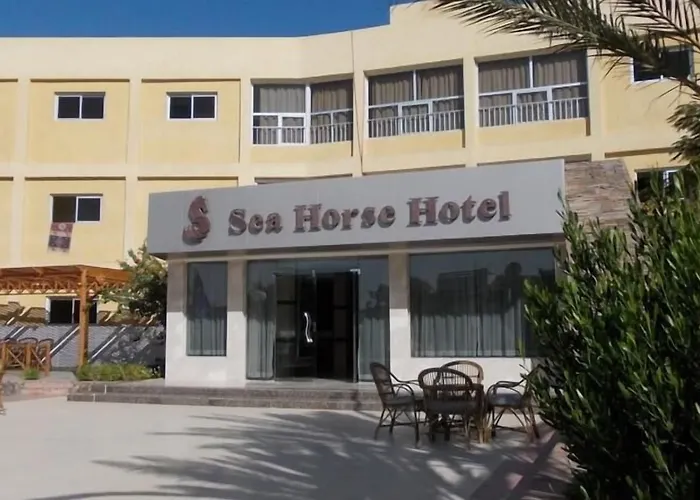 Sea Horse